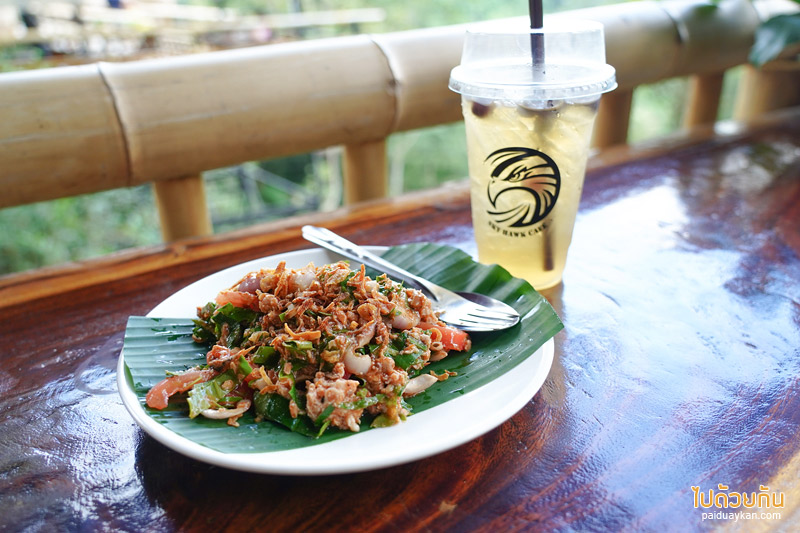 คาเฟ่ปางไฮ, คาเฟ่ดอยสะเก็ด, sky hawk café คาเฟ่ลับกลางป่าใหญ่ กับมุมที่นั่งลอยฟ้าสุดเก๋