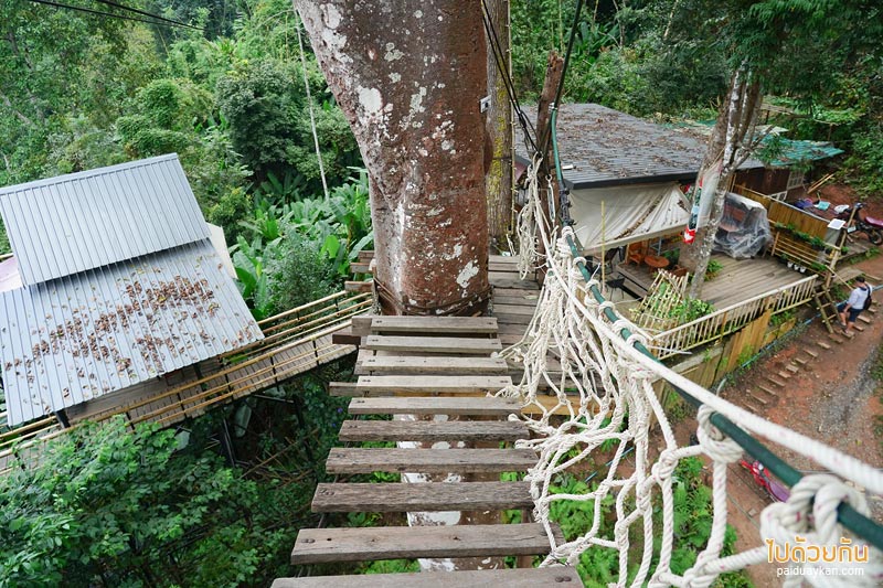 คาเฟ่ปางไฮ, คาเฟ่ดอยสะเก็ด, sky hawk café คาเฟ่ลับกลางป่าใหญ่ กับมุมที่นั่งลอยฟ้าสุดเก๋