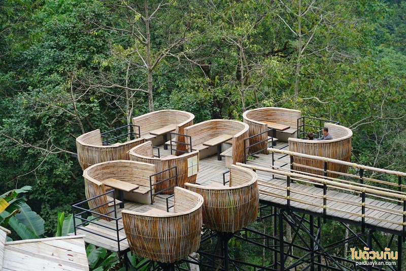คาเฟ่ปางไฮ, คาเฟ่ดอยสะเก็ด, sky hawk café คาเฟ่ลับกลางป่าใหญ่ กับมุมที่นั่งลอยฟ้าสุดเก๋