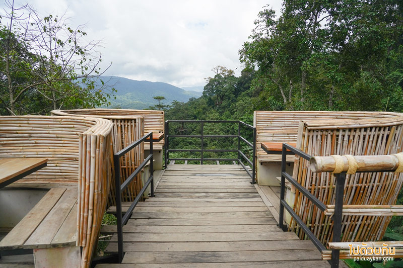 คาเฟ่ปางไฮ, คาเฟ่ดอยสะเก็ด, sky hawk café คาเฟ่ลับกลางป่าใหญ่ กับมุมที่นั่งลอยฟ้าสุดเก๋