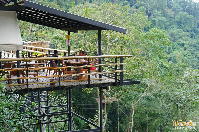 คาเฟ่ปางไฮ, คาเฟ่ดอยสะเก็ด, sky hawk café คาเฟ่ลับกลางป่าใหญ่ กับมุมที่นั่งลอยฟ้าสุดเก๋