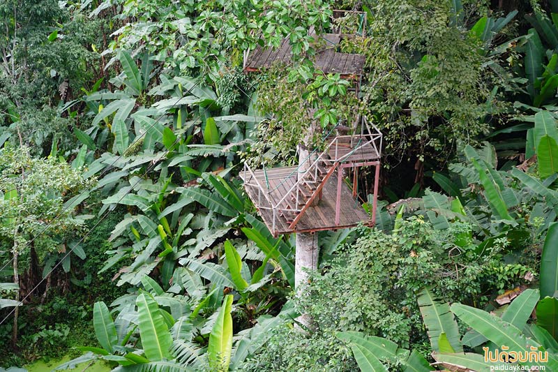 คาเฟ่ปางไฮ, คาเฟ่ดอยสะเก็ด, sky hawk café คาเฟ่ลับกลางป่าใหญ่ กับมุมที่นั่งลอยฟ้าสุดเก๋