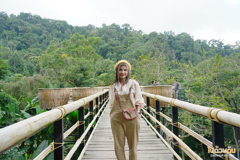 คาเฟ่ปางไฮ, คาเฟ่ดอยสะเก็ด, sky hawk café คาเฟ่ลับกลางป่าใหญ่ กับมุมที่นั่งลอยฟ้าสุดเก๋