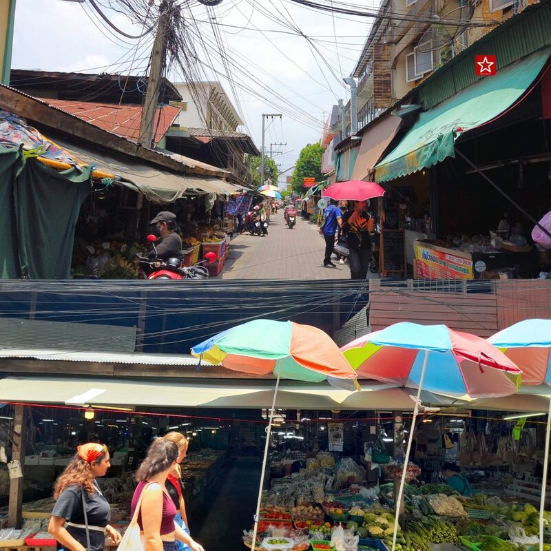 backpacker, chiangmai street art, reviewchiangmai, ตลาดประตูเชียงใหม่, ตลาดสมเพชร, ที่เที่ยวในเชียงใหม่, ประตูท่าแพ, รีวิวเชียงใหม่, ท่าแพ life style ใจกลางเมืองเชียงใหม่