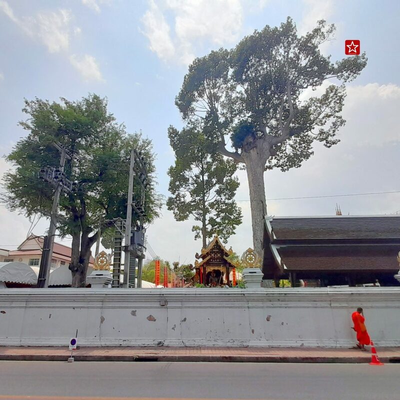 backpacker, chiangmai street art, reviewchiangmai, ตลาดประตูเชียงใหม่, ตลาดสมเพชร, ที่เที่ยวในเชียงใหม่, ประตูท่าแพ, รีวิวเชียงใหม่, ท่าแพ life style ใจกลางเมืองเชียงใหม่