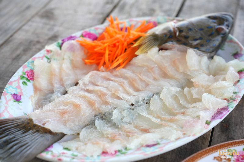 เกาะกูด, เที่ยวเกาะกูด, พี่นัท ปลาสด, พี่นัท ปลาสด เกาะกูด กินซาซึมิสดๆกลางทะเล