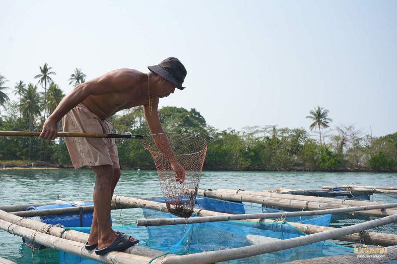 เกาะกูด, เที่ยวเกาะกูด, พี่นัท ปลาสด, พี่นัท ปลาสด เกาะกูด กินซาซึมิสดๆกลางทะเล