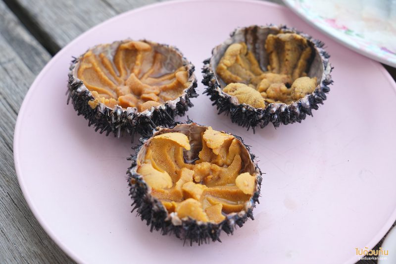 เกาะกูด, เที่ยวเกาะกูด, พี่นัท ปลาสด, พี่นัท ปลาสด เกาะกูด กินซาซึมิสดๆกลางทะเล