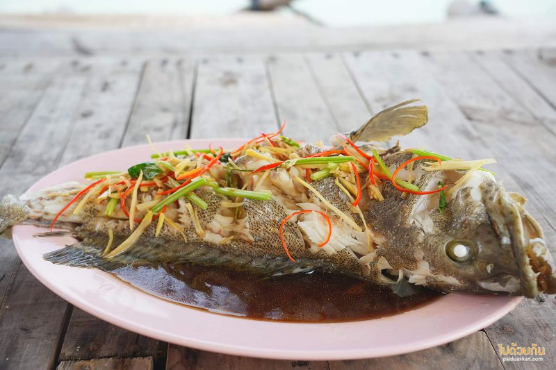 เกาะกูด, เที่ยวเกาะกูด, พี่นัท ปลาสด, พี่นัท ปลาสด เกาะกูด กินซาซึมิสดๆกลางทะเล