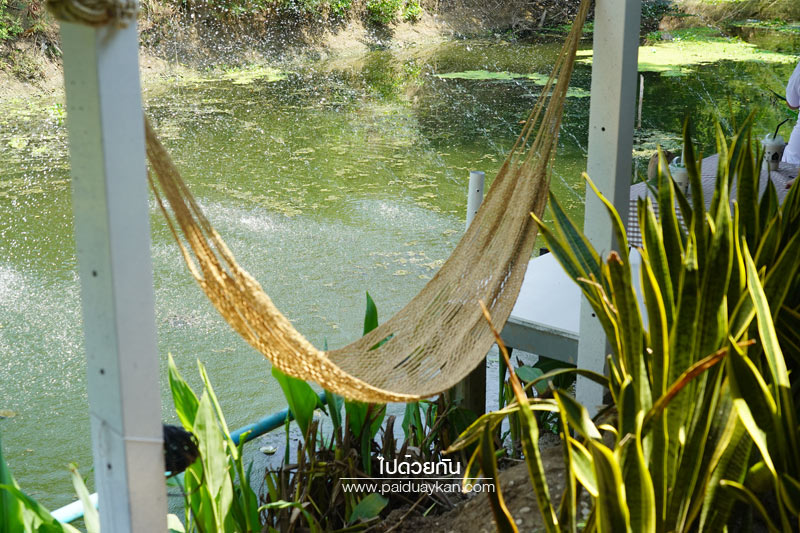 นครปฐม, คาเฟ่นครปฐม, ร้านอาหารนครปฐม, about coco cafe’ & bistro, คาเฟ่ในสวนนครปฐม, about coco cafe’ & bistro คาเฟ่ริมน้ำ สุดชิลกลางสวน