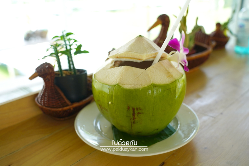 นครปฐม, คาเฟ่นครปฐม, ร้านอาหารนครปฐม, about coco cafe’ & bistro, คาเฟ่ในสวนนครปฐม, about coco cafe’ & bistro คาเฟ่ริมน้ำ สุดชิลกลางสวน