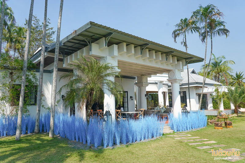 คาเฟ่นครปฐม, คาเฟ่สามพราน, memory house cafe สามพราน, memory house cafe สามพราน ถ่ายรูปฟุ้งฟิ้งกับทุ่งหญ้าหลากสี