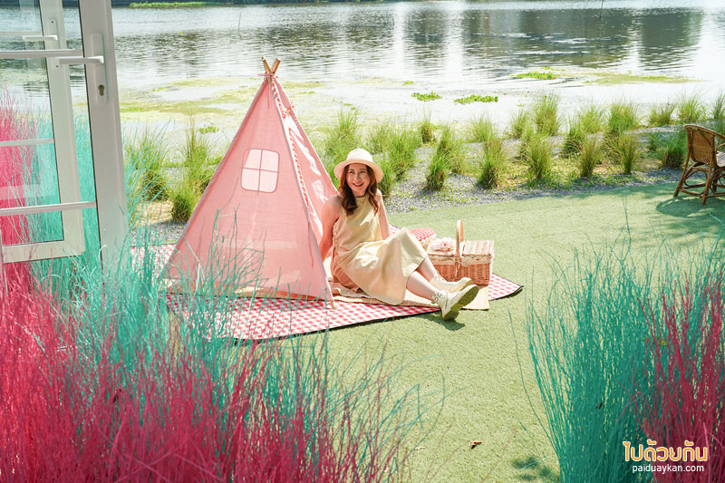 คาเฟ่นครปฐม, คาเฟ่สามพราน, memory house cafe สามพราน, memory house cafe สามพราน ถ่ายรูปฟุ้งฟิ้งกับทุ่งหญ้าหลากสี