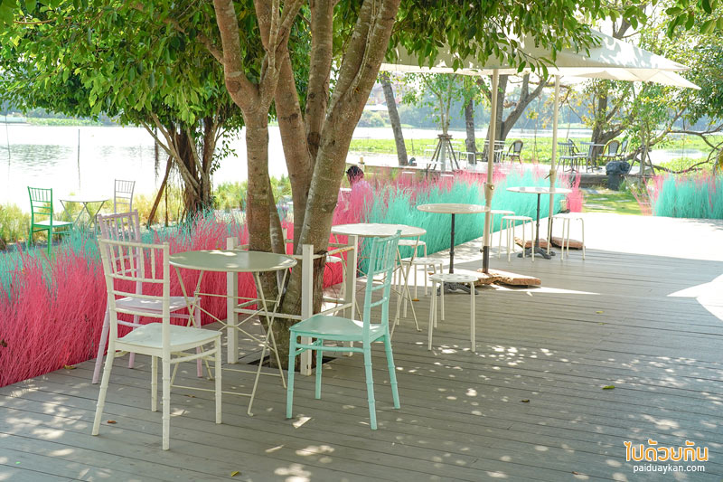 คาเฟ่นครปฐม, คาเฟ่สามพราน, memory house cafe สามพราน, memory house cafe สามพราน ถ่ายรูปฟุ้งฟิ้งกับทุ่งหญ้าหลากสี