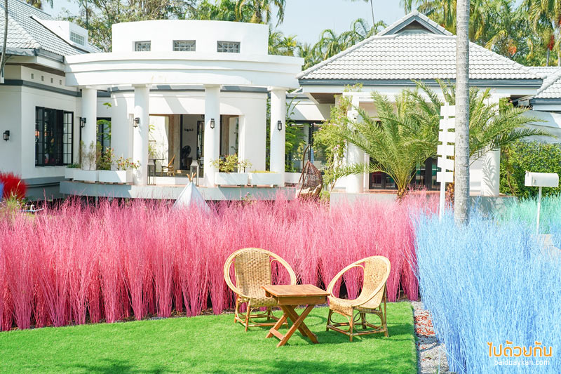 คาเฟ่นครปฐม, คาเฟ่สามพราน, memory house cafe สามพราน, memory house cafe สามพราน ถ่ายรูปฟุ้งฟิ้งกับทุ่งหญ้าหลากสี