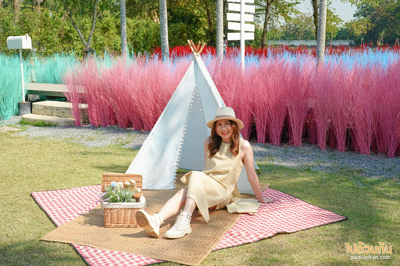 คาเฟ่นครปฐม, คาเฟ่สามพราน, memory house cafe สามพราน, memory house cafe สามพราน ถ่ายรูปฟุ้งฟิ้งกับทุ่งหญ้าหลากสี