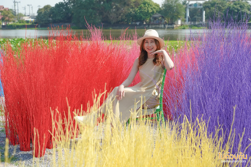 คาเฟ่นครปฐม, คาเฟ่สามพราน, memory house cafe สามพราน, memory house cafe สามพราน ถ่ายรูปฟุ้งฟิ้งกับทุ่งหญ้าหลากสี