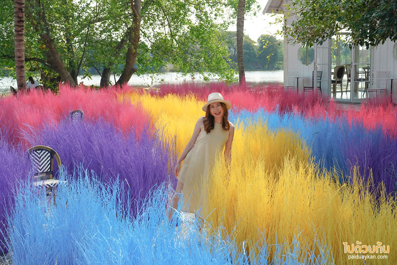 คาเฟ่นครปฐม, คาเฟ่สามพราน, memory house cafe สามพราน, memory house cafe สามพราน ถ่ายรูปฟุ้งฟิ้งกับทุ่งหญ้าหลากสี
