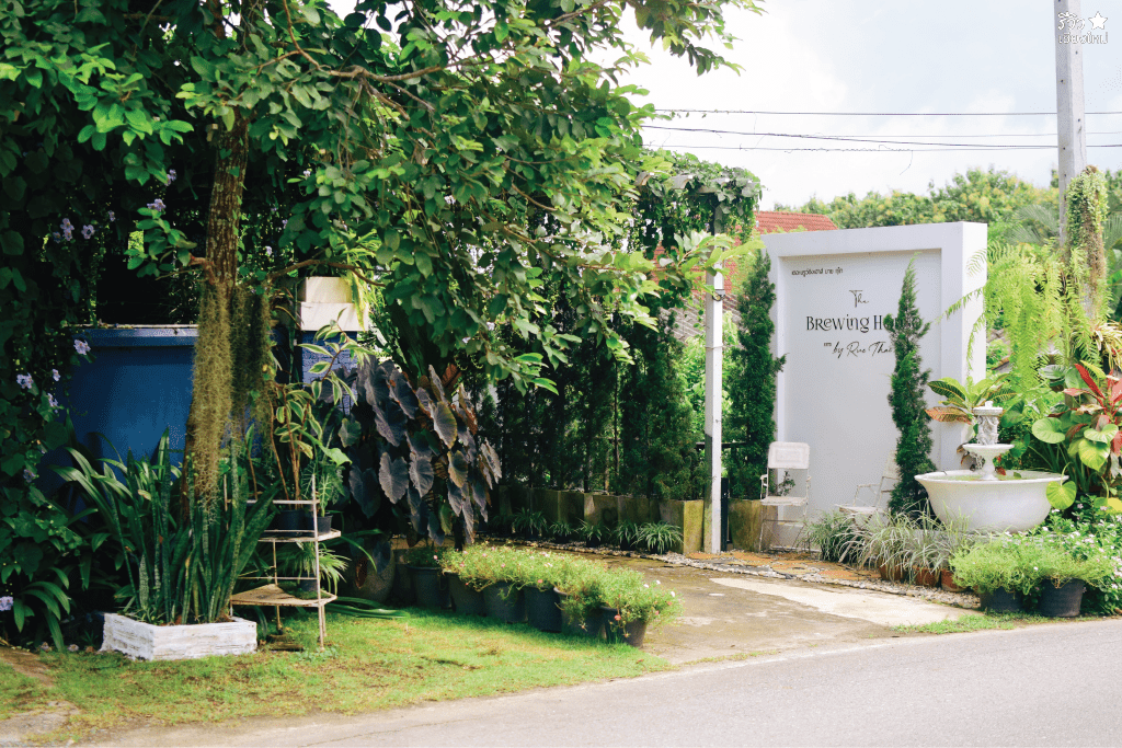 the brewing house by rue thai, คาเฟ่เชียงใหม่, ร้านกาแฟเชียงใหม่, ฤไท, เมล็ดกาแฟเชียงใหม่, ฤไท ร้าน slow bar coffee เชียงใหม่ ที่คอกาแฟห้ามพลาด!