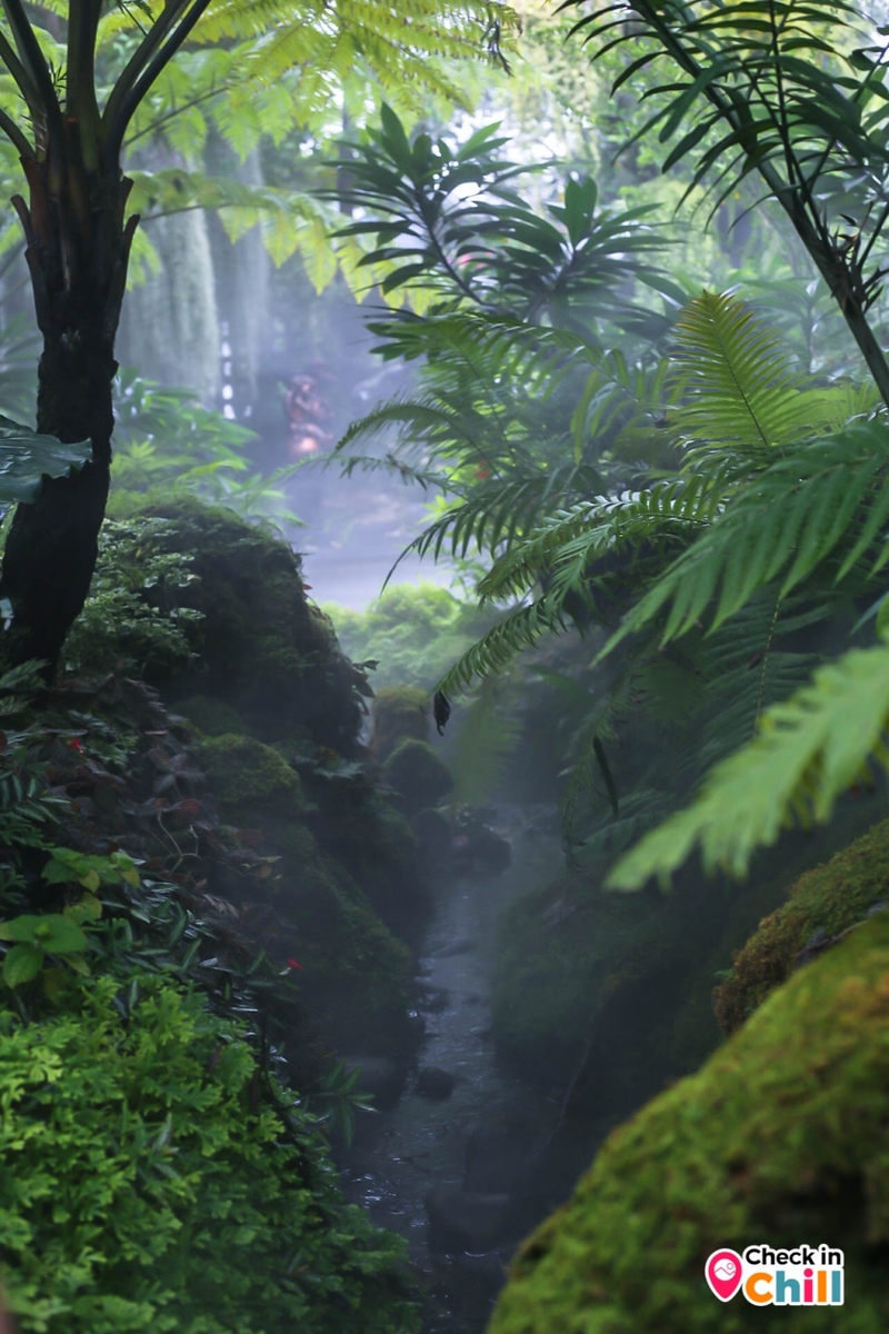 10cc, 10cc coffee and co, คาเฟ่นนทบุรี, คาเฟ่เมืองทองธานี, รีวิว 10 cc coffee & co. ย่านเมืองทองธานี คาเฟ่ธรรมชาติกลางเมืองสุดฟิน