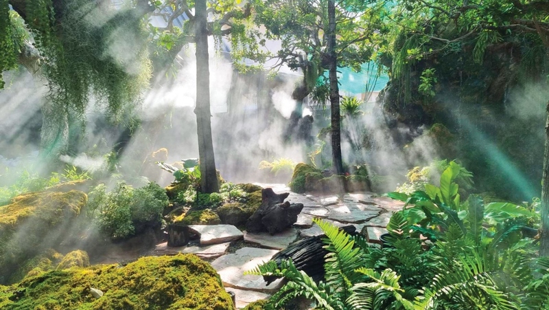 10cc, 10cc coffee and co, คาเฟ่นนทบุรี, คาเฟ่เมืองทองธานี, รีวิว 10 cc coffee & co. ย่านเมืองทองธานี คาเฟ่ธรรมชาติกลางเมืองสุดฟิน