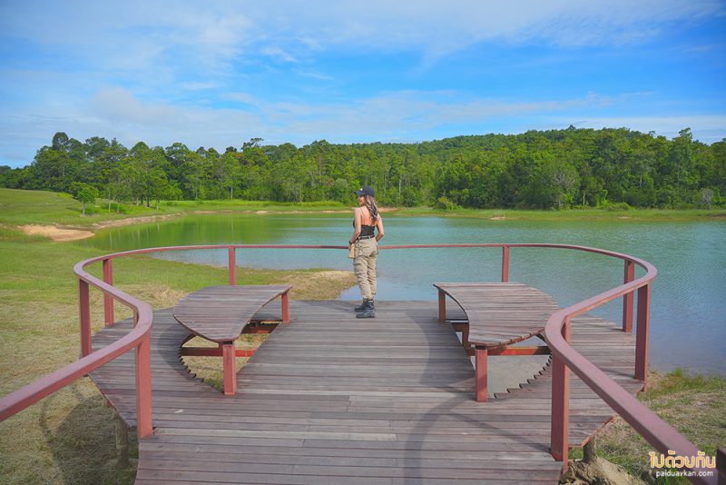 อุทยานแห่งชาติเขาใหญ่, ทุ่งหญ้าเขาใหญ่, เที่ยวเขาใหญ่, เขาใหญ่, ปลุกความสดชื่น เปิดประสบการณ์เที่ยวธรรมชาติ ที่ อุทยานแห่งชาติเขาใหญ่