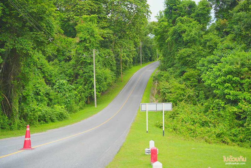 อุทยานแห่งชาติเขาใหญ่, ทุ่งหญ้าเขาใหญ่, เที่ยวเขาใหญ่, เขาใหญ่, ปลุกความสดชื่น เปิดประสบการณ์เที่ยวธรรมชาติ ที่ อุทยานแห่งชาติเขาใหญ่