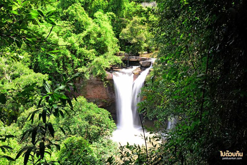 อุทยานแห่งชาติเขาใหญ่, ทุ่งหญ้าเขาใหญ่, เที่ยวเขาใหญ่, เขาใหญ่, ปลุกความสดชื่น เปิดประสบการณ์เที่ยวธรรมชาติ ที่ อุทยานแห่งชาติเขาใหญ่