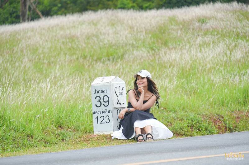 อุทยานแห่งชาติเขาใหญ่, ทุ่งหญ้าเขาใหญ่, เที่ยวเขาใหญ่, เขาใหญ่, ปลุกความสดชื่น เปิดประสบการณ์เที่ยวธรรมชาติ ที่ อุทยานแห่งชาติเขาใหญ่