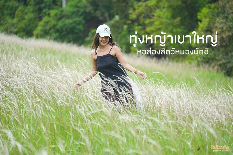 อุทยานแห่งชาติเขาใหญ่, ทุ่งหญ้าเขาใหญ่, เที่ยวเขาใหญ่, เขาใหญ่, ปลุกความสดชื่น เปิดประสบการณ์เที่ยวธรรมชาติ ที่ อุทยานแห่งชาติเขาใหญ่