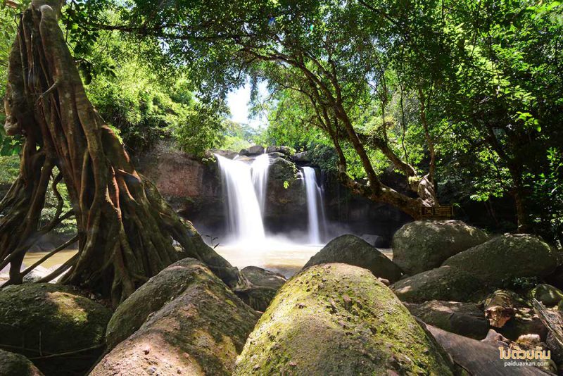 อุทยานแห่งชาติเขาใหญ่, ทุ่งหญ้าเขาใหญ่, เที่ยวเขาใหญ่, เขาใหญ่, ปลุกความสดชื่น เปิดประสบการณ์เที่ยวธรรมชาติ ที่ อุทยานแห่งชาติเขาใหญ่