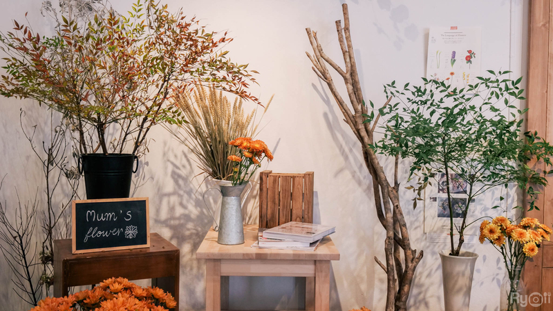 top 16+ คาเฟ่อารีย์ : เดินทางง่าย ติดรถไฟฟ้า bts อารีย์!