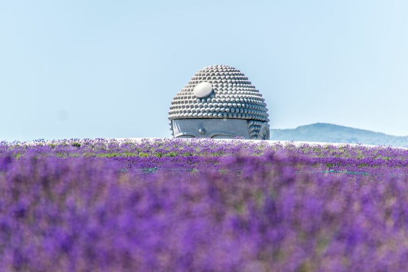 asahiyama zoo, daimaru, hill of the buddha, hokkaido shrine, jigokudani noboribetsu, lake shikotsu, makomonai takino, mt. moiwa, nijo market, nikka, ningle terrance, niseko village ski resort, noren yokocho, otaru, otaru aquarium, sapporo station, sapporo stellar place, snow festival, susukino, tanukikoji, ขนมฮอกไกโด, คลองโอตารุ, จุดชมวิวโมอิวะ, ซัปโปโร, ซูซูกิโนะ, ตลาดนิโจ, ทะเลสาปชิโกสึ, ทานูกิโคจิ, นิเซโกะ สกีรีสอร์ท, พิพิธภัณฑ์สัตว์น้ำโอตารุ, ภูเขาโมอิวะ, ย่านซูซูกิโนะ, ลานสกีฮอกไกโด, ศาลเจ้าฮอกไกโด, สถานีรถไฟซัปโปโร, สวนสัตว์อาซาฮิยามะ, หมู่บ้านเทพนิยาย, หุบเขานรก, ฮอกไกโด 2024, ฮอกไกโด 2567, เที่ยวฮอกไกโด 2024, เที่ยวฮอกไกโด 2567, เนินเขาแห่งพระพุทธเจ้า, เเล่นสกีฮอกไกโด, แลนด์มาร์ฮอกไกโด, โมอาย ฮอกไกโด, top 15+ ที่เที่ยวฮอกไกโด 2024 เก็บทุกจุดแลนด์มาร์ค บรรยากาศฟินๆ