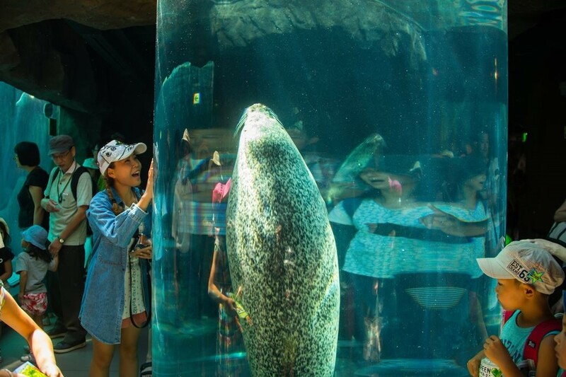 asahiyama zoo, daimaru, hill of the buddha, hokkaido shrine, jigokudani noboribetsu, lake shikotsu, makomonai takino, mt. moiwa, nijo market, nikka, ningle terrance, niseko village ski resort, noren yokocho, otaru, otaru aquarium, sapporo station, sapporo stellar place, snow festival, susukino, tanukikoji, ขนมฮอกไกโด, คลองโอตารุ, จุดชมวิวโมอิวะ, ซัปโปโร, ซูซูกิโนะ, ตลาดนิโจ, ทะเลสาปชิโกสึ, ทานูกิโคจิ, นิเซโกะ สกีรีสอร์ท, พิพิธภัณฑ์สัตว์น้ำโอตารุ, ภูเขาโมอิวะ, ย่านซูซูกิโนะ, ลานสกีฮอกไกโด, ศาลเจ้าฮอกไกโด, สถานีรถไฟซัปโปโร, สวนสัตว์อาซาฮิยามะ, หมู่บ้านเทพนิยาย, หุบเขานรก, ฮอกไกโด 2024, ฮอกไกโด 2567, เที่ยวฮอกไกโด 2024, เที่ยวฮอกไกโด 2567, เนินเขาแห่งพระพุทธเจ้า, เเล่นสกีฮอกไกโด, แลนด์มาร์ฮอกไกโด, โมอาย ฮอกไกโด, top 15+ ที่เที่ยวฮอกไกโด 2024 เก็บทุกจุดแลนด์มาร์ค บรรยากาศฟินๆ