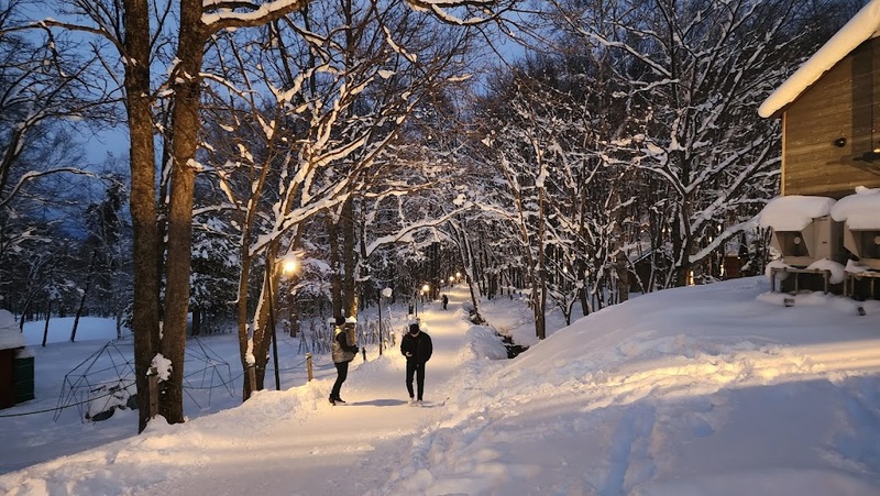 asahiyama zoo, daimaru, hill of the buddha, hokkaido shrine, jigokudani noboribetsu, lake shikotsu, makomonai takino, mt. moiwa, nijo market, nikka, ningle terrance, niseko village ski resort, noren yokocho, otaru, otaru aquarium, sapporo station, sapporo stellar place, snow festival, susukino, tanukikoji, ขนมฮอกไกโด, คลองโอตารุ, จุดชมวิวโมอิวะ, ซัปโปโร, ซูซูกิโนะ, ตลาดนิโจ, ทะเลสาปชิโกสึ, ทานูกิโคจิ, นิเซโกะ สกีรีสอร์ท, พิพิธภัณฑ์สัตว์น้ำโอตารุ, ภูเขาโมอิวะ, ย่านซูซูกิโนะ, ลานสกีฮอกไกโด, ศาลเจ้าฮอกไกโด, สถานีรถไฟซัปโปโร, สวนสัตว์อาซาฮิยามะ, หมู่บ้านเทพนิยาย, หุบเขานรก, ฮอกไกโด 2024, ฮอกไกโด 2567, เที่ยวฮอกไกโด 2024, เที่ยวฮอกไกโด 2567, เนินเขาแห่งพระพุทธเจ้า, เเล่นสกีฮอกไกโด, แลนด์มาร์ฮอกไกโด, โมอาย ฮอกไกโด, top 15+ ที่เที่ยวฮอกไกโด 2024 เก็บทุกจุดแลนด์มาร์ค บรรยากาศฟินๆ