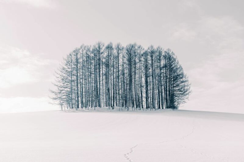 asahiyama zoo, daimaru, hill of the buddha, hokkaido shrine, jigokudani noboribetsu, lake shikotsu, makomonai takino, mt. moiwa, nijo market, nikka, ningle terrance, niseko village ski resort, noren yokocho, otaru, otaru aquarium, sapporo station, sapporo stellar place, snow festival, susukino, tanukikoji, ขนมฮอกไกโด, คลองโอตารุ, จุดชมวิวโมอิวะ, ซัปโปโร, ซูซูกิโนะ, ตลาดนิโจ, ทะเลสาปชิโกสึ, ทานูกิโคจิ, นิเซโกะ สกีรีสอร์ท, พิพิธภัณฑ์สัตว์น้ำโอตารุ, ภูเขาโมอิวะ, ย่านซูซูกิโนะ, ลานสกีฮอกไกโด, ศาลเจ้าฮอกไกโด, สถานีรถไฟซัปโปโร, สวนสัตว์อาซาฮิยามะ, หมู่บ้านเทพนิยาย, หุบเขานรก, ฮอกไกโด 2024, ฮอกไกโด 2567, เที่ยวฮอกไกโด 2024, เที่ยวฮอกไกโด 2567, เนินเขาแห่งพระพุทธเจ้า, เเล่นสกีฮอกไกโด, แลนด์มาร์ฮอกไกโด, โมอาย ฮอกไกโด, top 15+ ที่เที่ยวฮอกไกโด 2024 เก็บทุกจุดแลนด์มาร์ค บรรยากาศฟินๆ