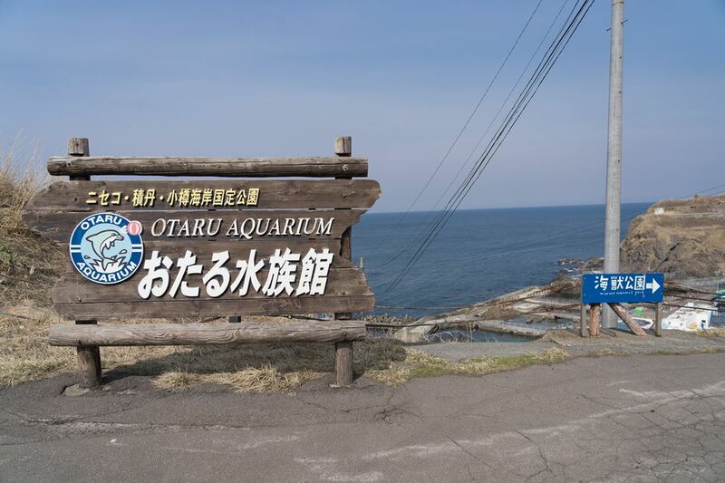asahiyama zoo, daimaru, hill of the buddha, hokkaido shrine, jigokudani noboribetsu, lake shikotsu, makomonai takino, mt. moiwa, nijo market, nikka, ningle terrance, niseko village ski resort, noren yokocho, otaru, otaru aquarium, sapporo station, sapporo stellar place, snow festival, susukino, tanukikoji, ขนมฮอกไกโด, คลองโอตารุ, จุดชมวิวโมอิวะ, ซัปโปโร, ซูซูกิโนะ, ตลาดนิโจ, ทะเลสาปชิโกสึ, ทานูกิโคจิ, นิเซโกะ สกีรีสอร์ท, พิพิธภัณฑ์สัตว์น้ำโอตารุ, ภูเขาโมอิวะ, ย่านซูซูกิโนะ, ลานสกีฮอกไกโด, ศาลเจ้าฮอกไกโด, สถานีรถไฟซัปโปโร, สวนสัตว์อาซาฮิยามะ, หมู่บ้านเทพนิยาย, หุบเขานรก, ฮอกไกโด 2024, ฮอกไกโด 2567, เที่ยวฮอกไกโด 2024, เที่ยวฮอกไกโด 2567, เนินเขาแห่งพระพุทธเจ้า, เเล่นสกีฮอกไกโด, แลนด์มาร์ฮอกไกโด, โมอาย ฮอกไกโด, top 15+ ที่เที่ยวฮอกไกโด 2024 เก็บทุกจุดแลนด์มาร์ค บรรยากาศฟินๆ
