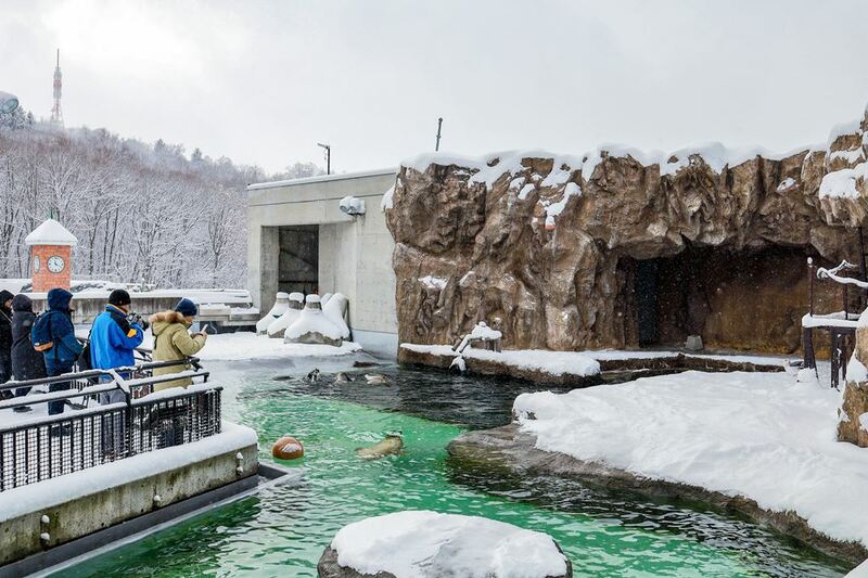 asahiyama zoo, daimaru, hill of the buddha, hokkaido shrine, jigokudani noboribetsu, lake shikotsu, makomonai takino, mt. moiwa, nijo market, nikka, ningle terrance, niseko village ski resort, noren yokocho, otaru, otaru aquarium, sapporo station, sapporo stellar place, snow festival, susukino, tanukikoji, ขนมฮอกไกโด, คลองโอตารุ, จุดชมวิวโมอิวะ, ซัปโปโร, ซูซูกิโนะ, ตลาดนิโจ, ทะเลสาปชิโกสึ, ทานูกิโคจิ, นิเซโกะ สกีรีสอร์ท, พิพิธภัณฑ์สัตว์น้ำโอตารุ, ภูเขาโมอิวะ, ย่านซูซูกิโนะ, ลานสกีฮอกไกโด, ศาลเจ้าฮอกไกโด, สถานีรถไฟซัปโปโร, สวนสัตว์อาซาฮิยามะ, หมู่บ้านเทพนิยาย, หุบเขานรก, ฮอกไกโด 2024, ฮอกไกโด 2567, เที่ยวฮอกไกโด 2024, เที่ยวฮอกไกโด 2567, เนินเขาแห่งพระพุทธเจ้า, เเล่นสกีฮอกไกโด, แลนด์มาร์ฮอกไกโด, โมอาย ฮอกไกโด, top 15+ ที่เที่ยวฮอกไกโด 2024 เก็บทุกจุดแลนด์มาร์ค บรรยากาศฟินๆ