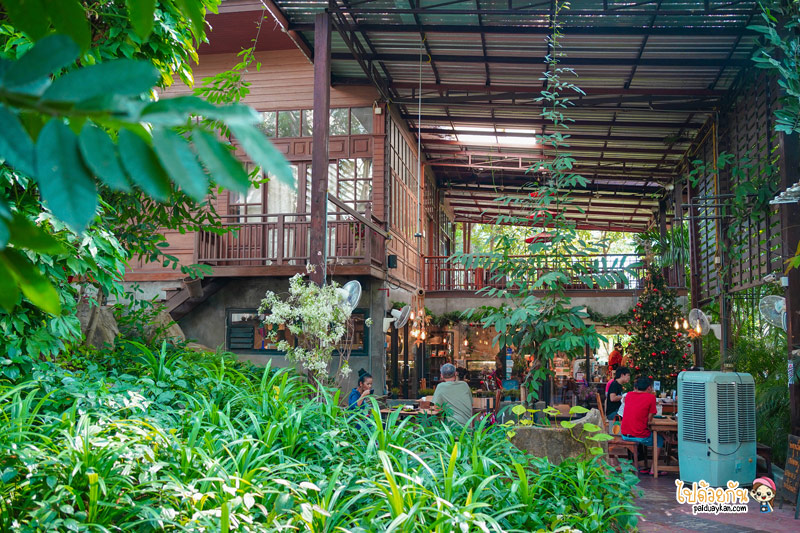 คาเฟ่ตาก, เที่ยวตาก, ร้านกาแฟตาก, top 30+ คาเฟ่ตาก นั่งชิล จิบเครื่องดื่ม แชะภาพสวย