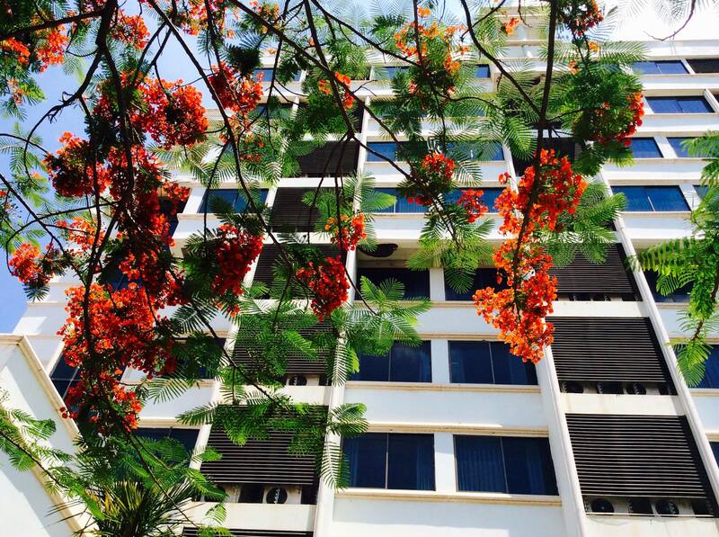 top 10+ ที่พักพิจิตร 2024 ที่พักพิจิตรเปิดใหม่ ราคาถูก บรรยากาศดี