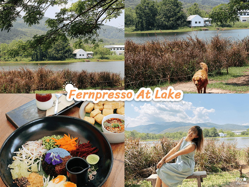 fernpresso at lake, hiding, merrezca skin up liquid foundation, pluto, the baristro asian style, รองพื้นไปคาเฟ่, รวมคาเฟ่แสงธรรมชาติเชียงใหม่ บรรยากาศสุดปัง! พร้อมเคล็ดลับคุมมันกันเหงื่อ