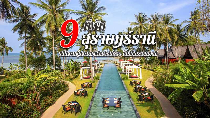 top 9+ ที่พักสุราษฎร์ธานี 2567 พักผ่อนสบายๆ หนีความวุ่นวายมาใกล้ชิดธรรมชาติ