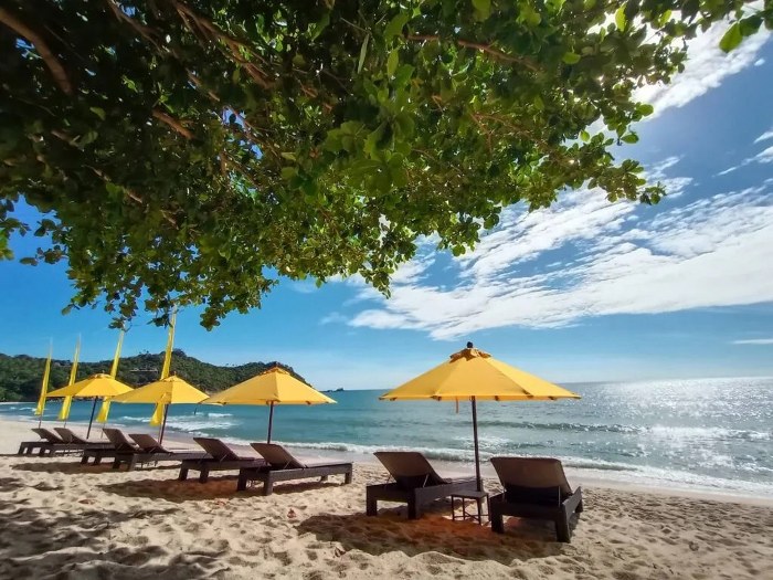 top 9+ ที่พักสุราษฎร์ธานี 2567 พักผ่อนสบายๆ หนีความวุ่นวายมาใกล้ชิดธรรมชาติ