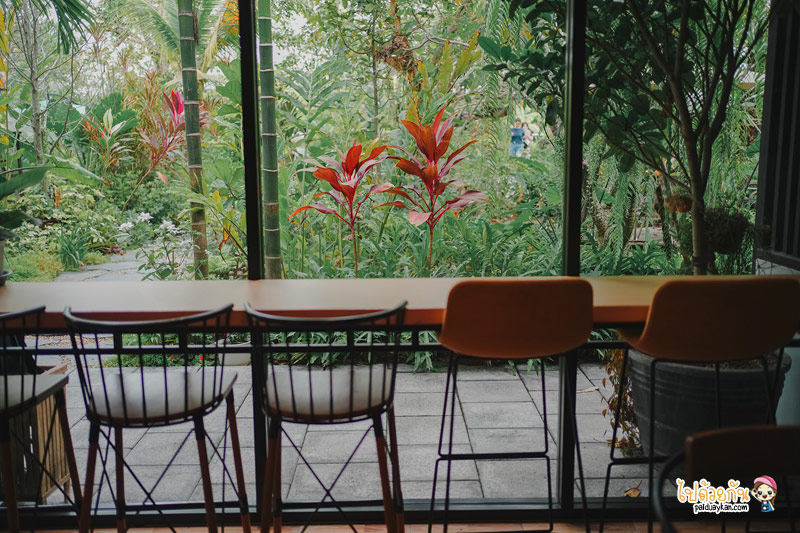 คาเฟ่หนองจอก, ร้านกาแฟหนองจอก, ร้านอาหารหนองจอก, เที่ยวหนองจอก, i am café หนองจอก, i am cafe หนองจอก คาเฟ่ชวนฝันสไตล์อิงลิชคอทเทจ