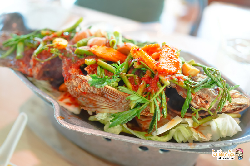 คาเฟ่หนองจอก, ร้านกาแฟหนองจอก, ร้านอาหารหนองจอก, เที่ยวหนองจอก, i am café หนองจอก, i am cafe หนองจอก คาเฟ่ชวนฝันสไตล์อิงลิชคอทเทจ