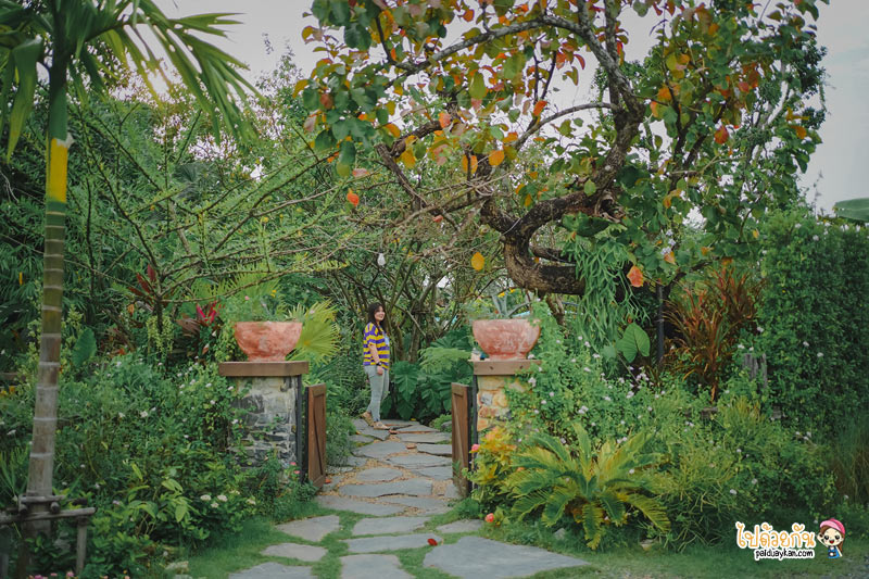 คาเฟ่หนองจอก, ร้านกาแฟหนองจอก, ร้านอาหารหนองจอก, เที่ยวหนองจอก, i am café หนองจอก, i am cafe หนองจอก คาเฟ่ชวนฝันสไตล์อิงลิชคอทเทจ