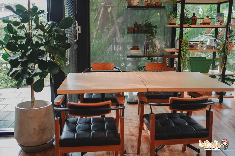 คาเฟ่หนองจอก, ร้านกาแฟหนองจอก, ร้านอาหารหนองจอก, เที่ยวหนองจอก, i am café หนองจอก, i am cafe หนองจอก คาเฟ่ชวนฝันสไตล์อิงลิชคอทเทจ