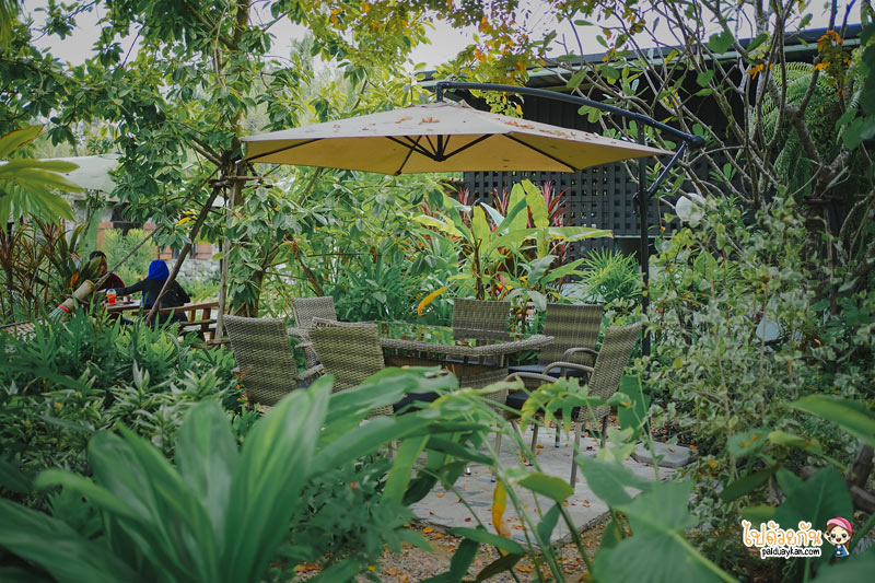 คาเฟ่หนองจอก, ร้านกาแฟหนองจอก, ร้านอาหารหนองจอก, เที่ยวหนองจอก, i am café หนองจอก, i am cafe หนองจอก คาเฟ่ชวนฝันสไตล์อิงลิชคอทเทจ