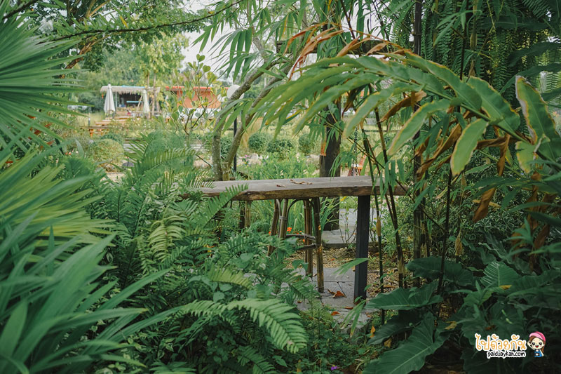 คาเฟ่หนองจอก, ร้านกาแฟหนองจอก, ร้านอาหารหนองจอก, เที่ยวหนองจอก, i am café หนองจอก, i am cafe หนองจอก คาเฟ่ชวนฝันสไตล์อิงลิชคอทเทจ