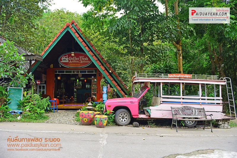 เที่ยวระนอง, คาเฟ่ระนอง, ร้านกาแฟระนอง, top 15+ คาเฟ่ระนอง ต้องไม่พลาดเช็คอิน